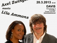 Flyer 2013